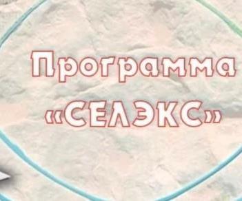 Анонс курсов ИАС СЕЛЭКС Построитель отчетов "Структура картотеки" (Молочный скот)