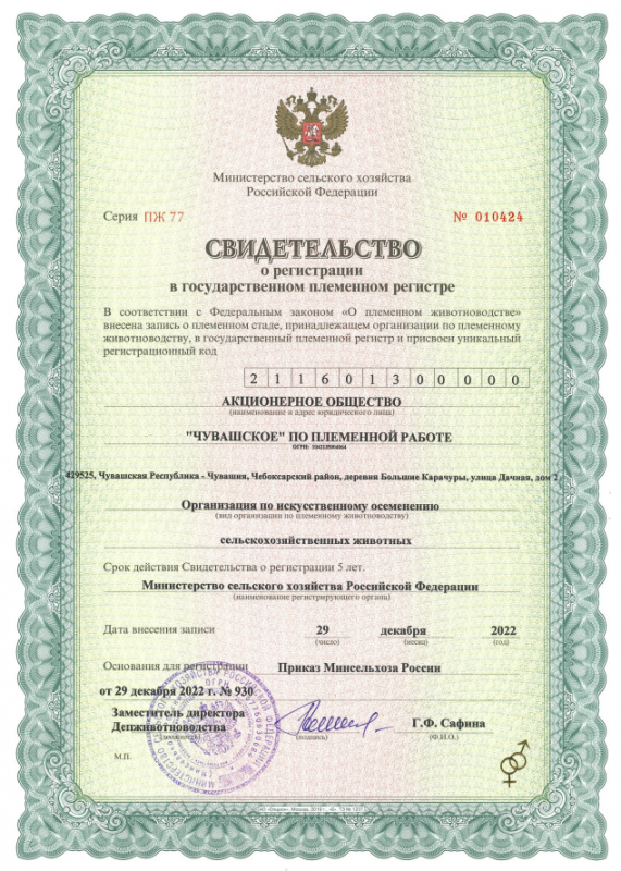 АО «Чувашское» по племенной работе подтвердило высокий статус «Организации по искусственному осеменению сельскохозяйственных животных»  и было зарегистрировано   в государственном племенном регистре 