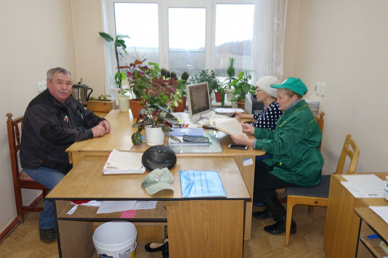 Линейная оценка экстерьера коров-первотелок в племзаводе ООО «Родина" Ядринского района.